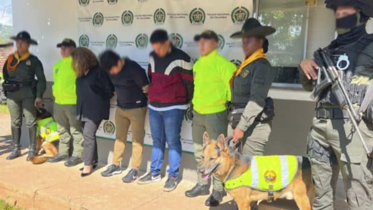 "No tiene poder de decisión": abogado de capturado por presunto tráfico de pieles