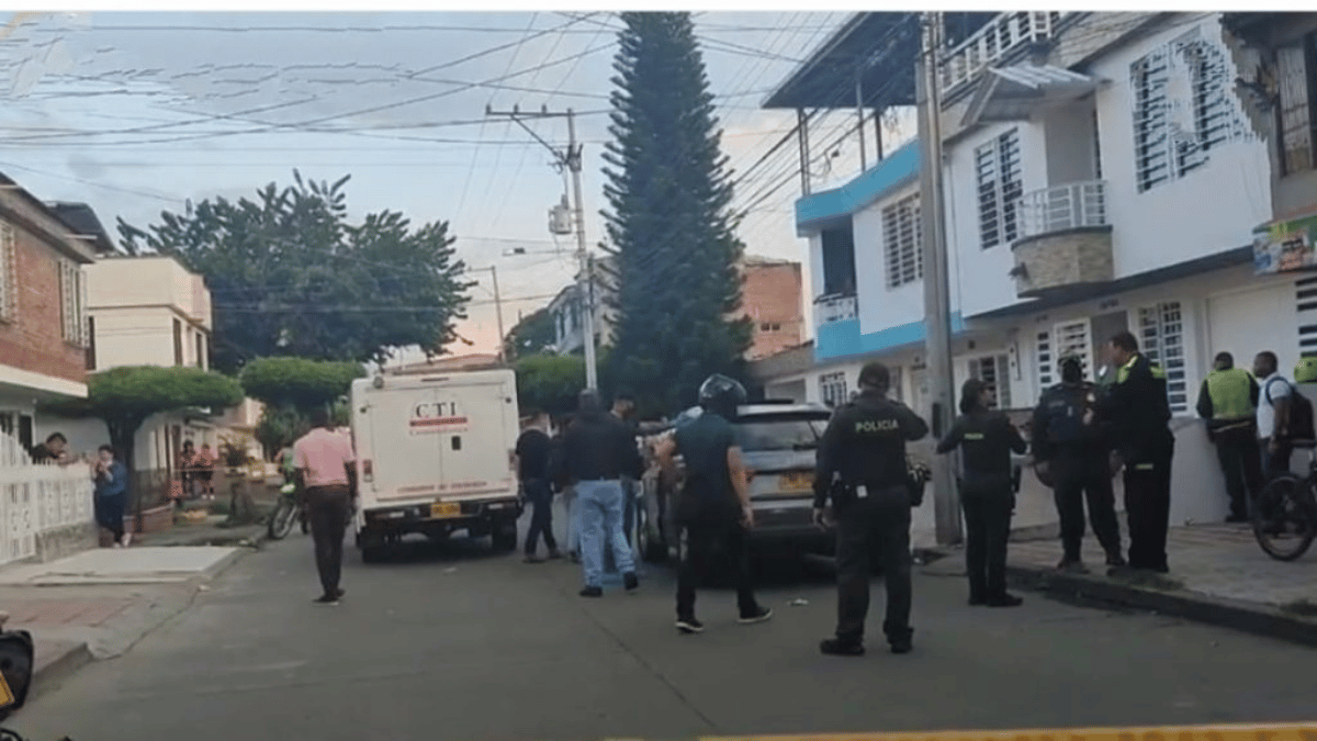 Caen en Cali traficantes de pieles de animales exóticos: serán extraditados