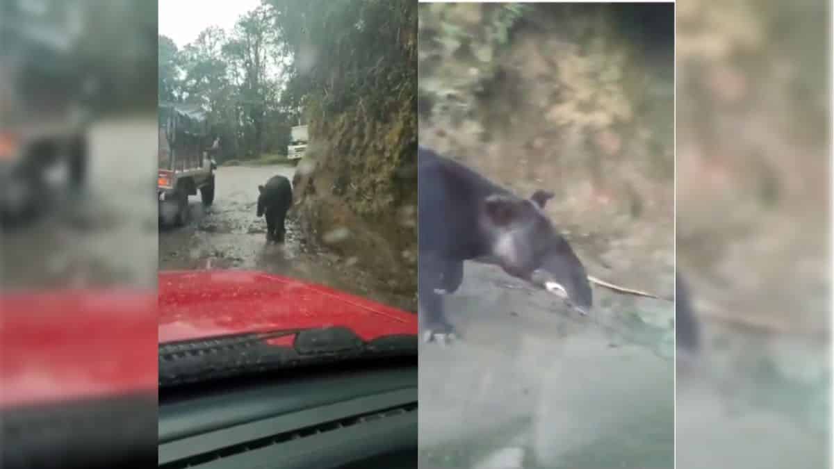 Santander de Quilichao entregó motos al Ejército para mejorar la seguridad
