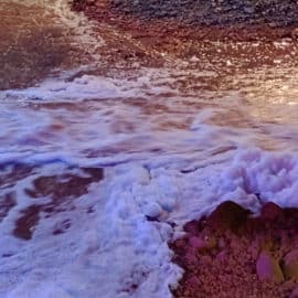 Espuma, color café y mal olor: ¿Qué pasa con el río Cali por estos días?