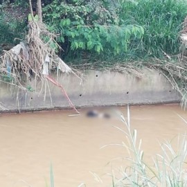 Hallan cuerpo sin vida flotando en el río Cali