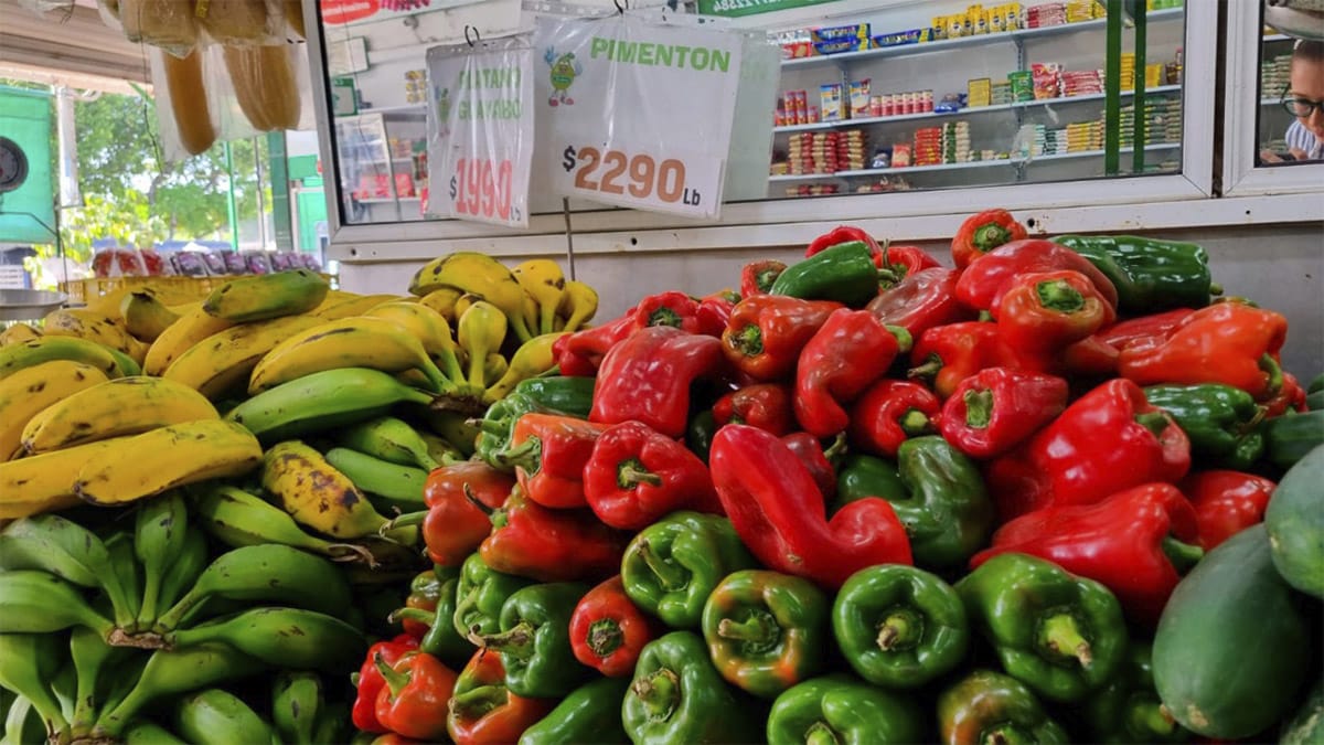 Inflación en Colombia: ¿Cómo están los precios de la canasta familiar en Cali?
