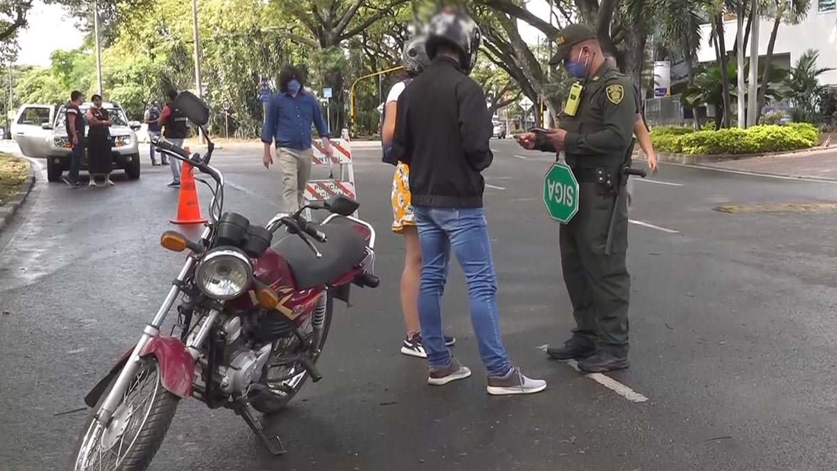 Caen en Cali traficantes de pieles de animales exóticos: serán extraditados