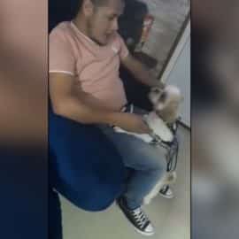 'Toby taxista' el perrito que fue abandonado en un taxi en Bogotá, tiene nueva familia