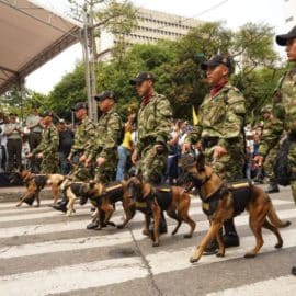 La policía no podrá llevar caballos ni perros para controlar manifestaciones