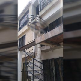 Un hombre murió tras caer por las escaleras desde un tercer piso en Cali