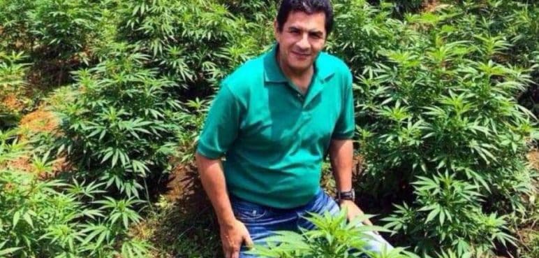 Alcalde de Cali propondrá al Concejo comercializar cannabis en la ciudad