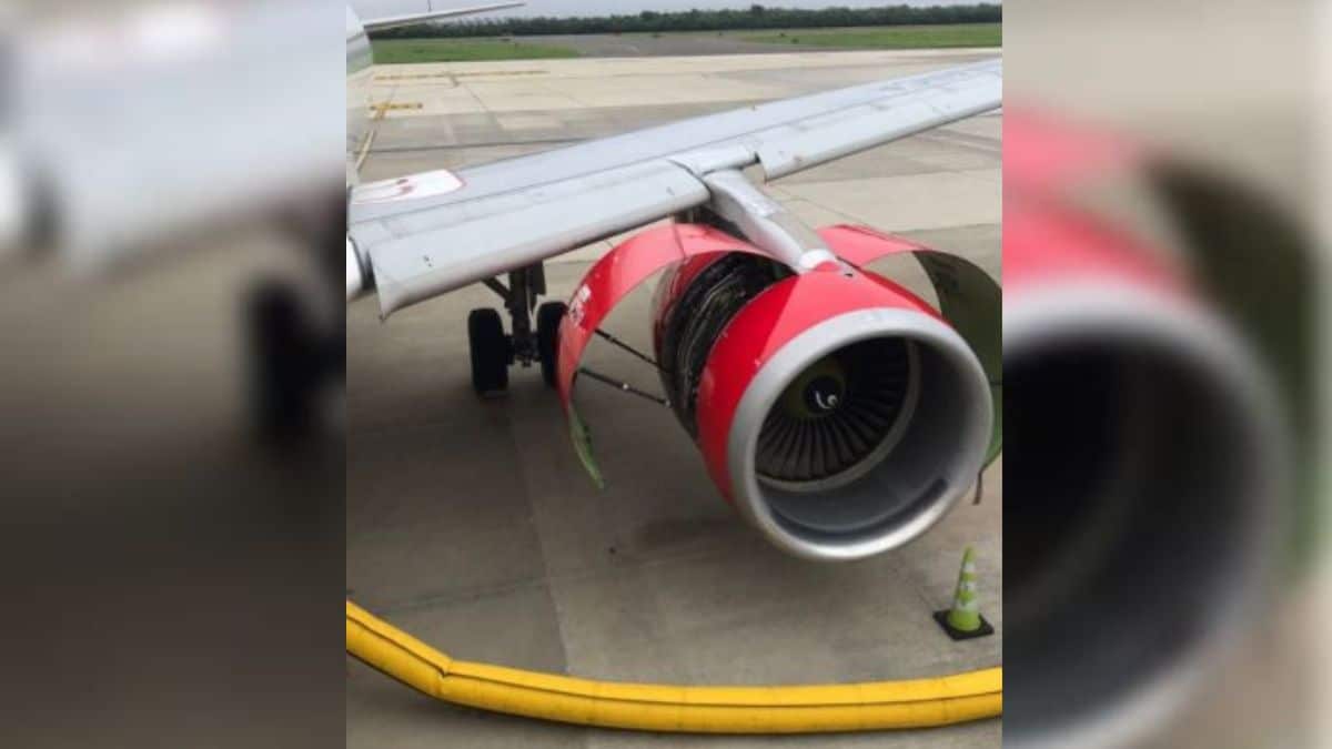 Avión con destino a Cali sufrió una emergencia por el choque de un ave