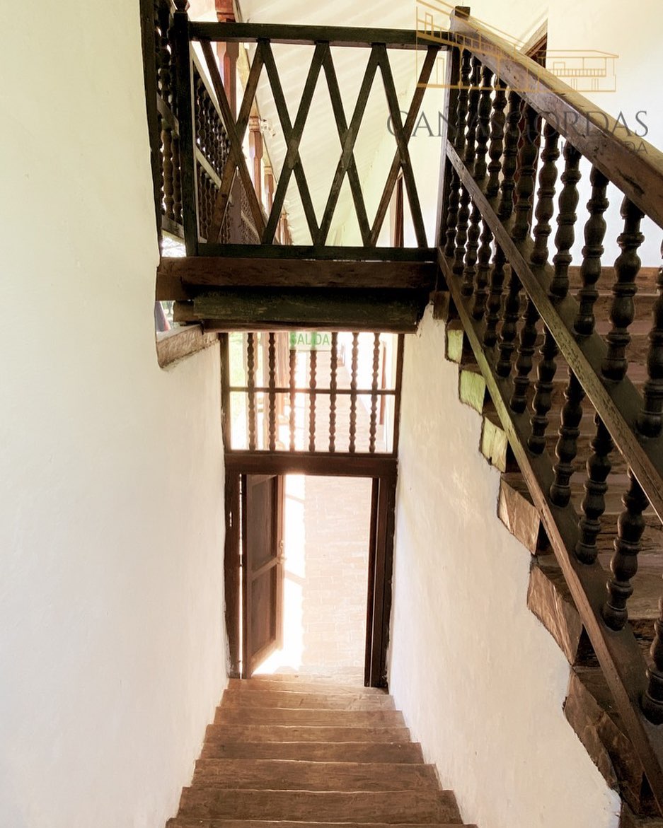 Imágen de galería