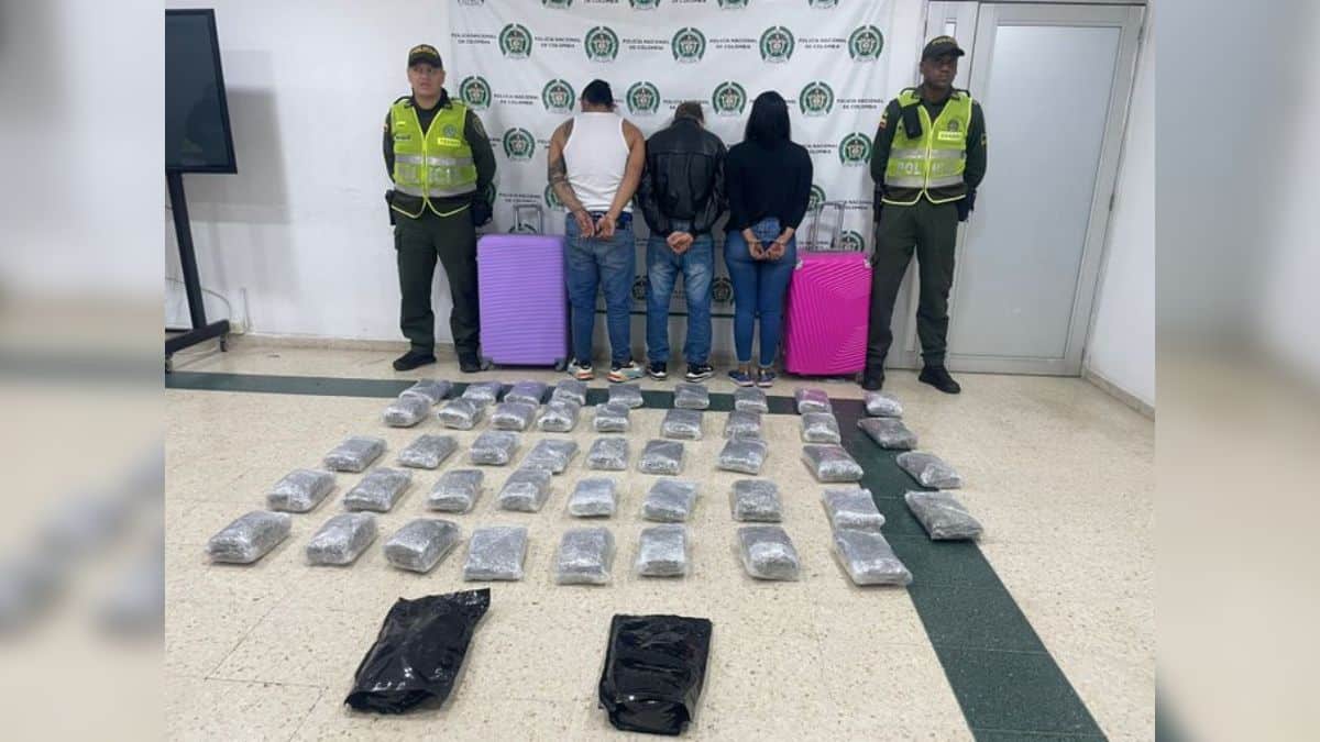 Capturan a un hombre que pretendía sacar 424 ranas a Alemania para ser vendidas