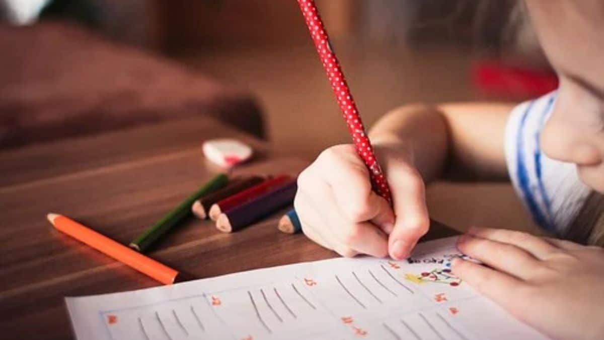 "Enamorar a los estudiantes de la formación": El nuevo reto de la Secretaría de Educación