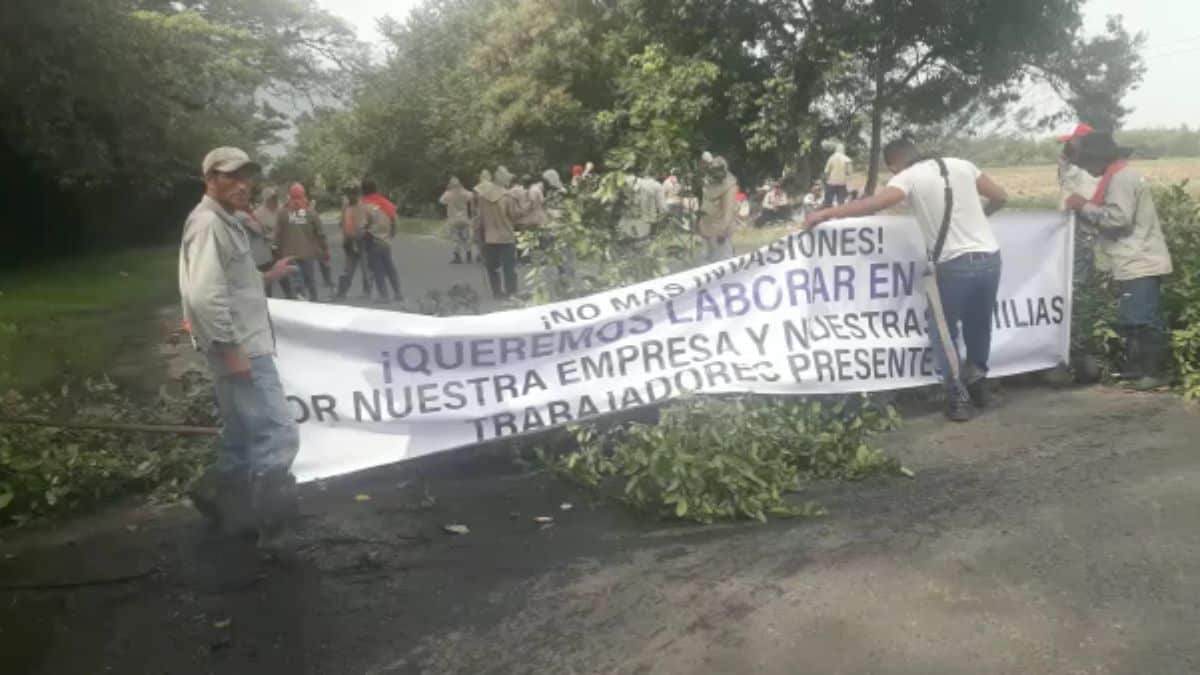 Denuncian que indígenas continúan saqueando y quemando tierras en el Cauca