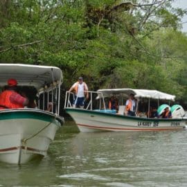 Regresan a sus hogares más de 30 familias desplazadas en Buenaventura