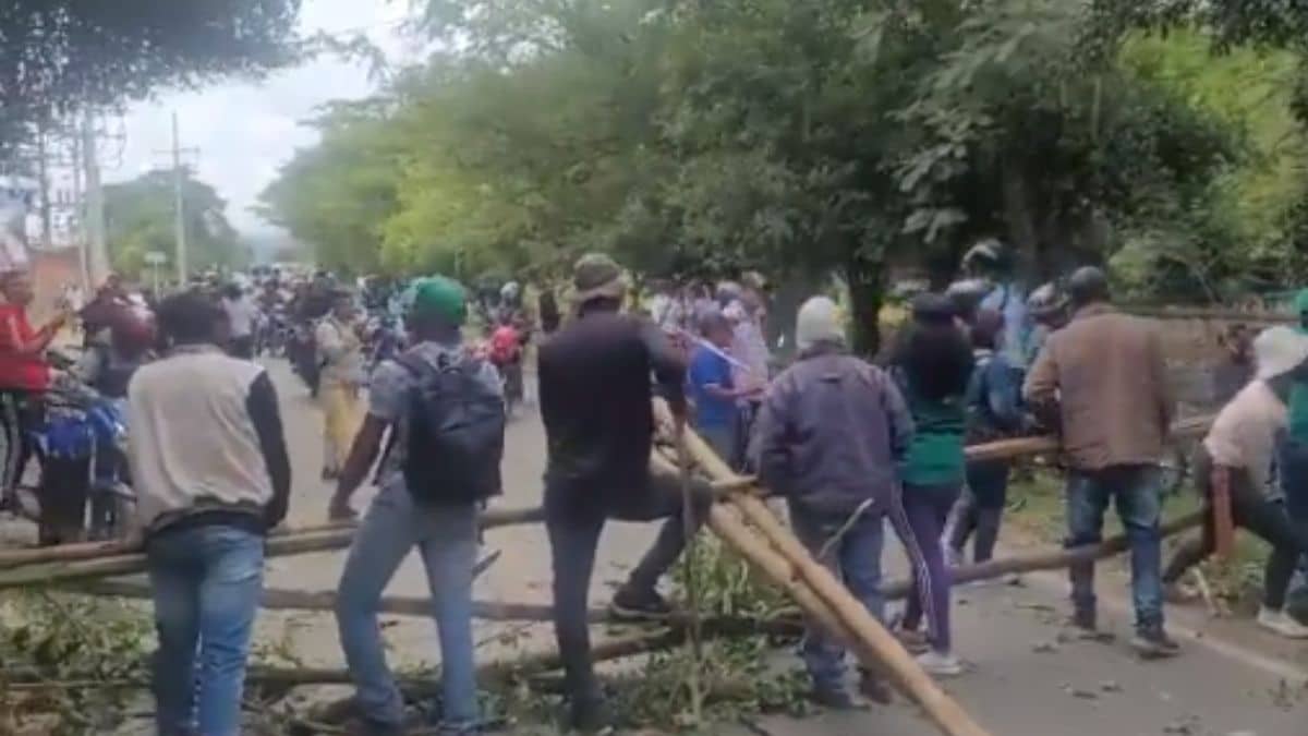 Denuncian que indígenas continúan saqueando y quemando tierras en el Cauca
