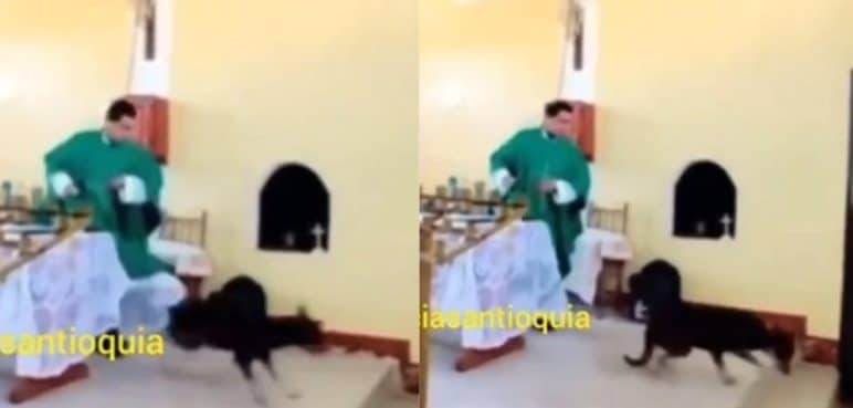 ¡Inaceptable! Sacerdote pateó a un perro y lo sacó de la iglesia