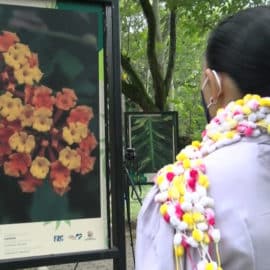 'La vida que no vemos', una galería de arte en la ribera del río Cali