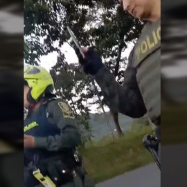 "No es la misma ropa ni el corte": critican a patrullera por insólito reclamo