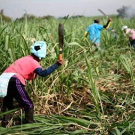 “No tienen respeto alguno”: Consejo Gremial ante invasiones en el Cauca