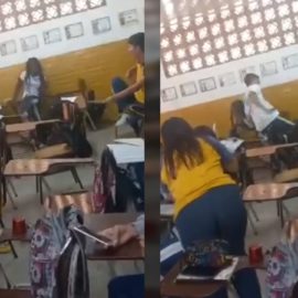 Un perro de raza pitbull ingresó a un colegio y atacó a cuatro estudiantes en Cali