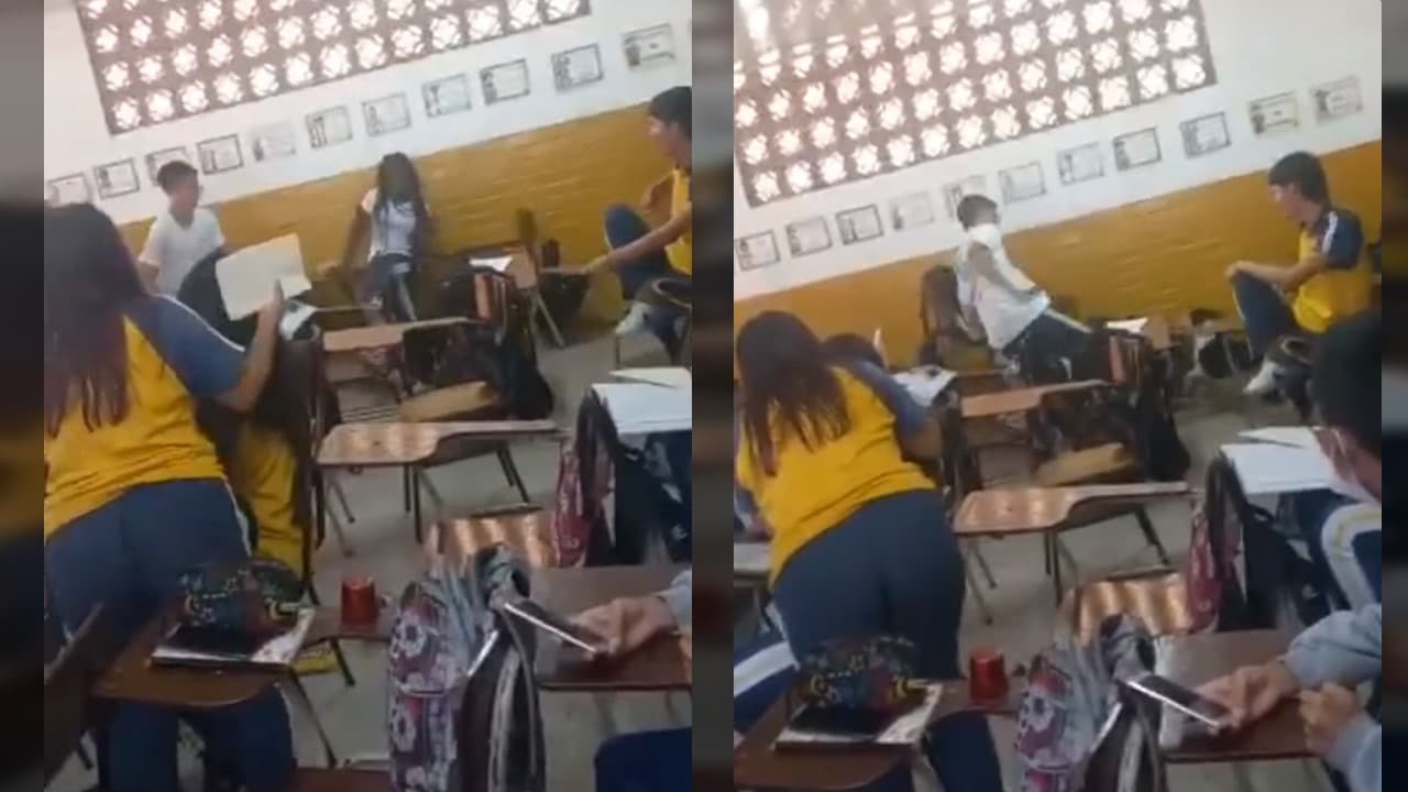 Un perro de raza pitbull ingresó a un colegio y atacó a cuatro estudiantes en Cali