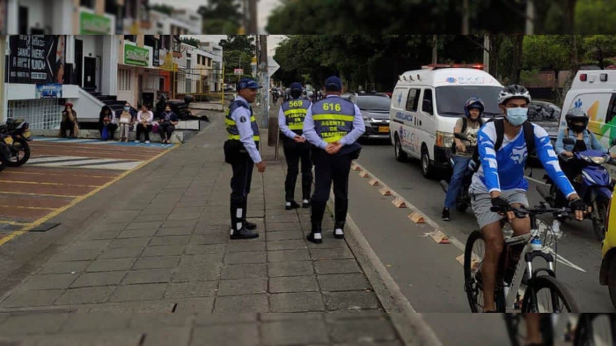 Por fin el Valle del Cauca tendrá Política Pública de Protección y Bienestar Animal