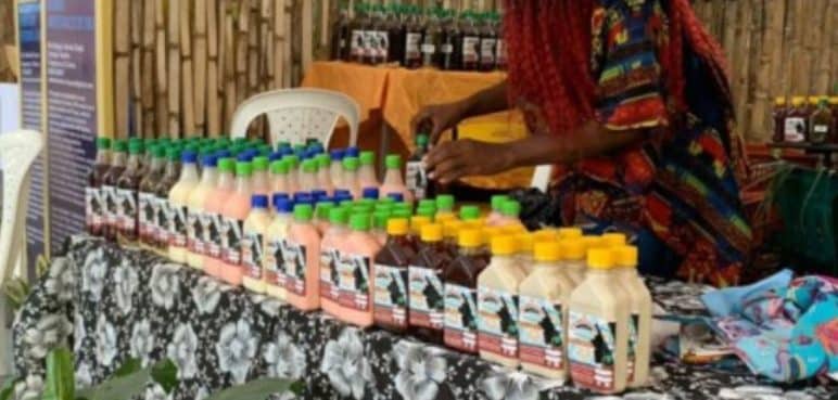 Productores de viche se encuentran en riesgo de quiebra: estas son las razones
