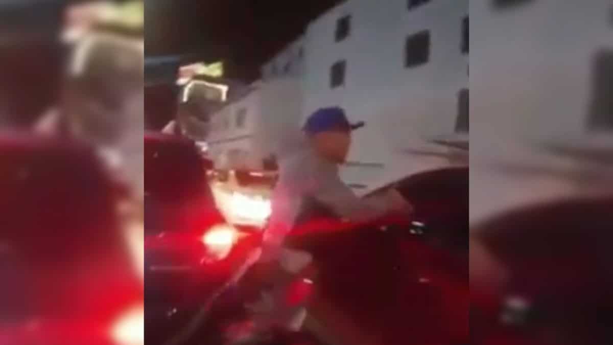 ¡Indignante! Un perro fue drogado con escopolamina para poder robárselo