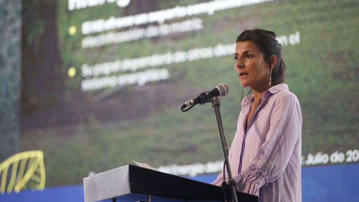 "Todos cometemos errores": Ministra Vélez tras cifra errónea de déficit