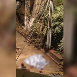 Adulto mayor falleció en Cali tras recibir fuerte golpe por caída de rama de árbol
