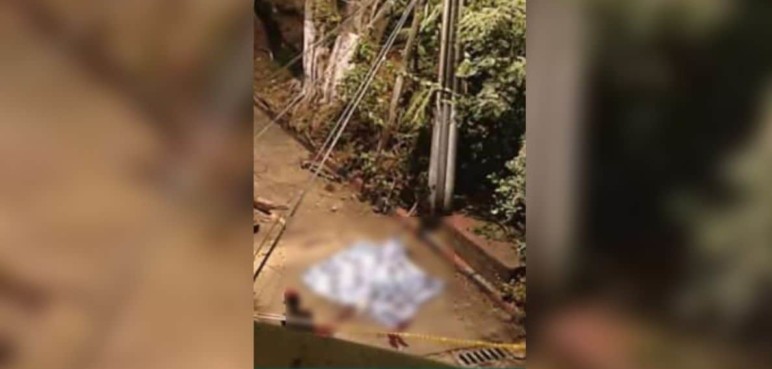 Adulto mayor falleció en Cali tras recibir fuerte golpe por caída de rama de árbol