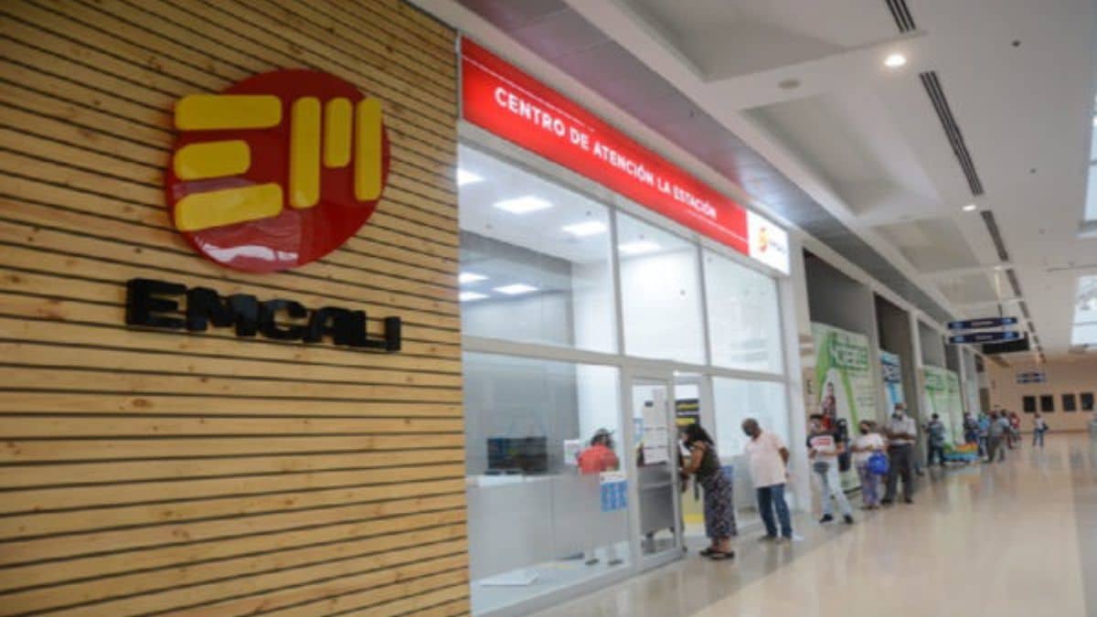 Alcaldía de Cali denunció irregularidades en el Centro de Bienestar Animal