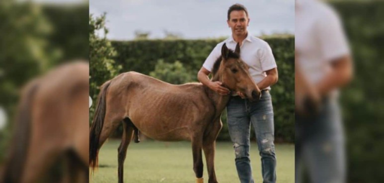 Caballo que adoptó Jhonny Rivera con una pierna quebrada fue operado