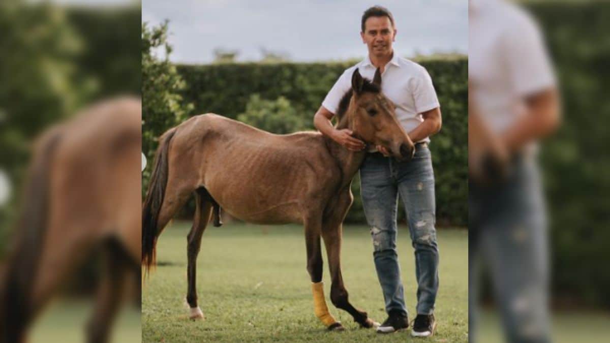 Caballo que adoptó Jhonny Rivera con una pierna quebrada fue operado