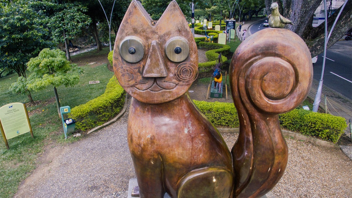 Por su fauna y flora, Cali se destaca como capital biodiversa de Colombia