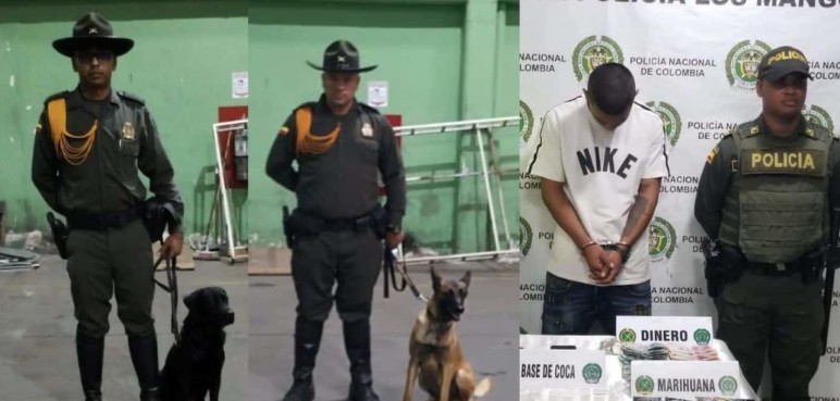 Caninos descubren 19.500 gramos en encomienda envuelta con plástico
