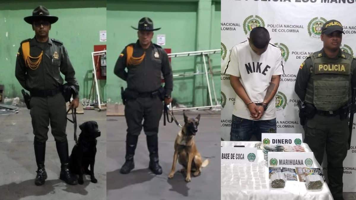 Encuentran mujer que había sido arrastrada por creciente del río Jamundí