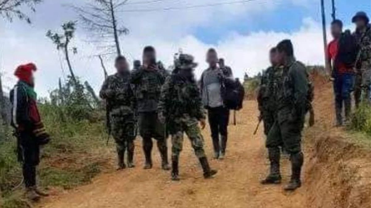 “No tenemos posibilidad mínima de que desaparezca el Esmad”: director de Policía