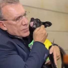 Congreso tendrá espacio Pet Friendly: Roy Barreras