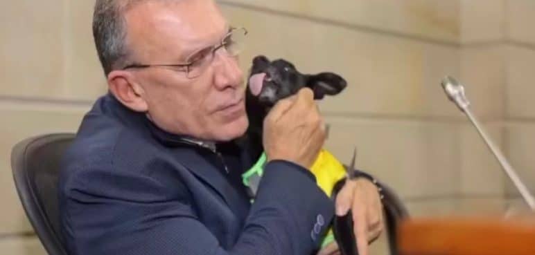 Congreso tendrá espacio Pet Friendly: Roy Barreras