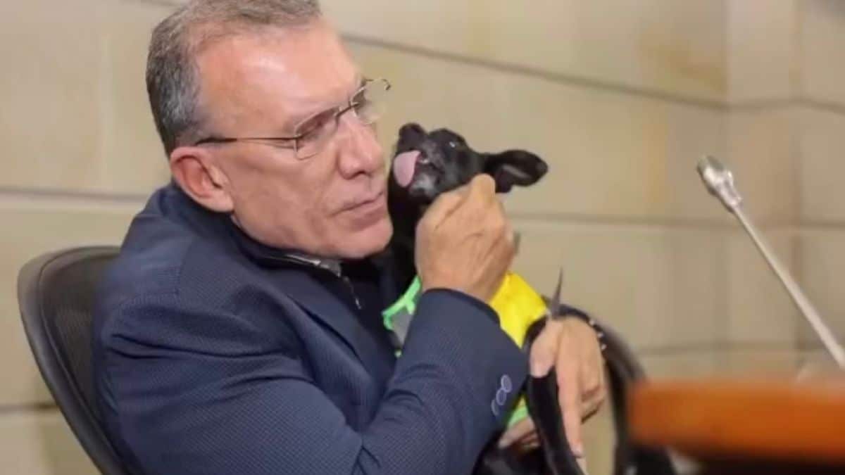 Congreso tendrá espacio Pet Friendly: Roy Barreras