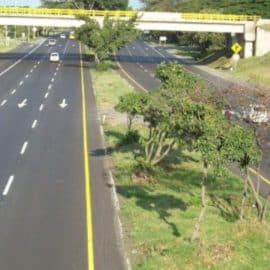 Conozca las excepciones del segundo día sin carro y sin moto en Cali