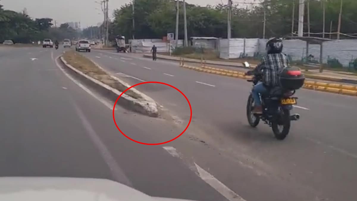 El Centro de Bienestar Animal está  85% completado: Alcaldía de Cali