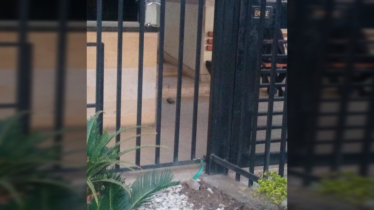 Lanzan granada al interior de unidad residencial en Cali: autoridades investigan