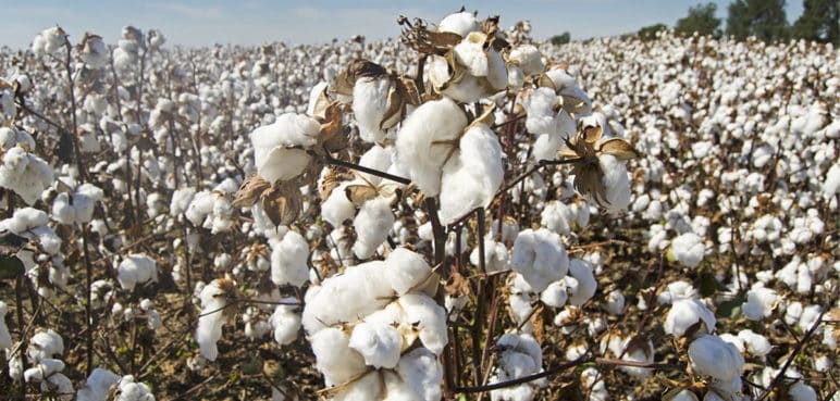 Mininterior dice que resolver problema de tierras con violencia es un error