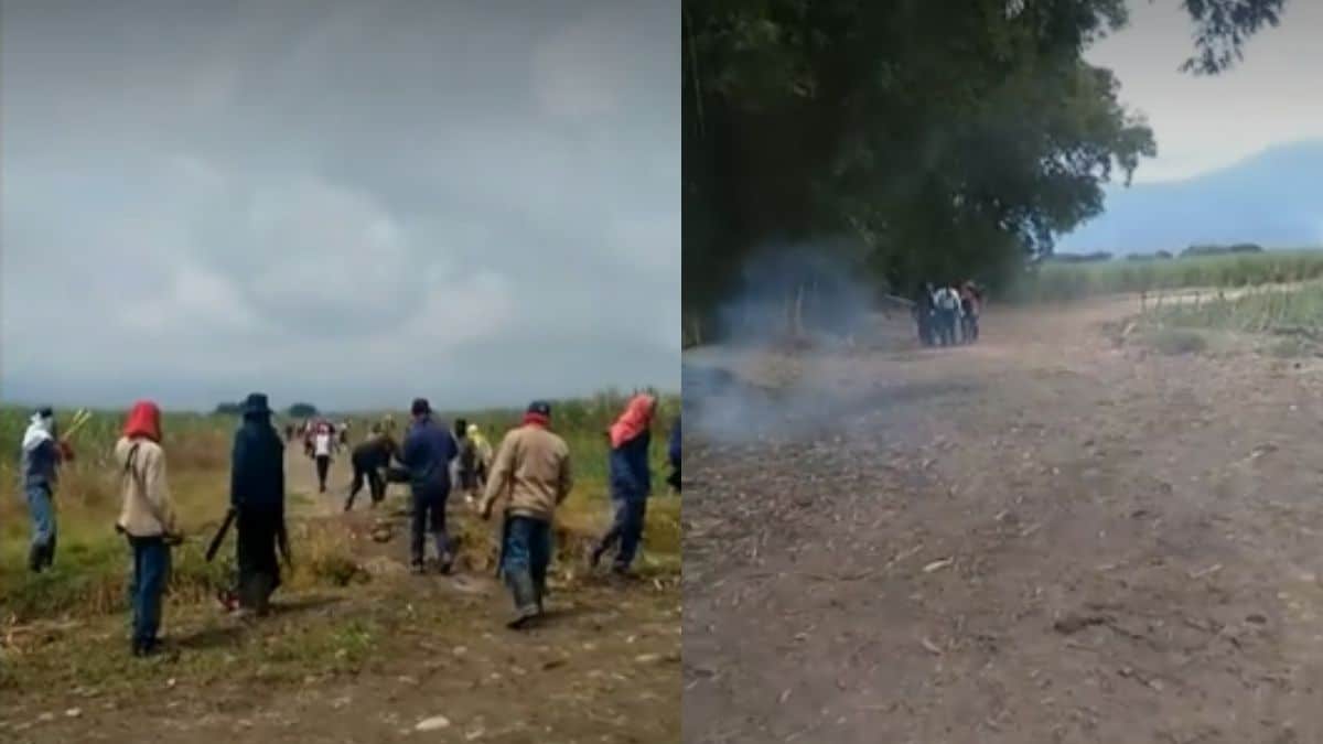 “No tenemos posibilidad mínima de que desaparezca el Esmad”: director de Policía