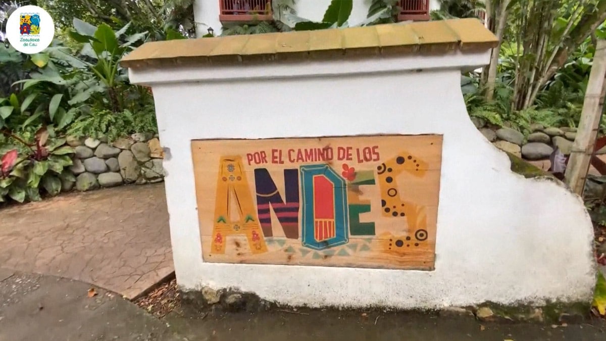 ¡Otro motivo de orgullo! Zoológico de Cali recibió importante premio internacional