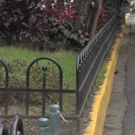 Polémica: ¿Por qué separadores viales si las calles están llenas de huecos?