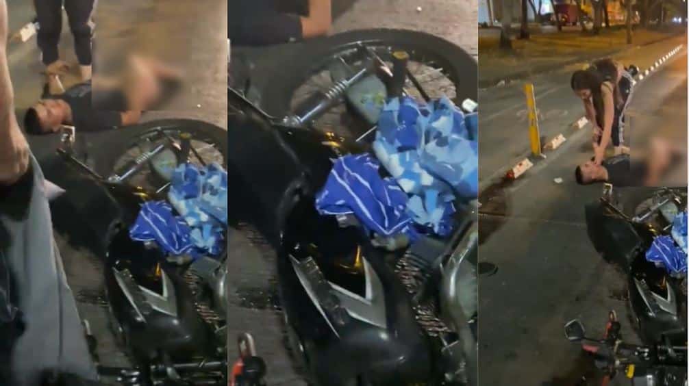 Consternación en Zoológico de Cali: Murió Amelie, el jaguar de 17 años
