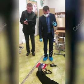 Tiroteo en escuela de Rusia deja hasta el momento 17 muertos, 11 son niños