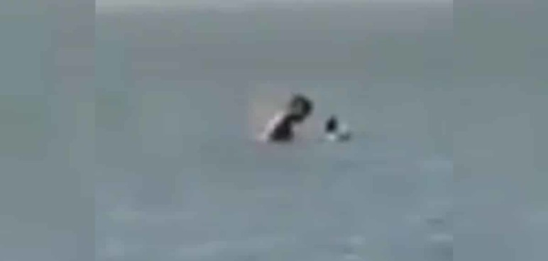 Video: Captan a pareja de turistas teniendo sexo en playas de Barranquilla